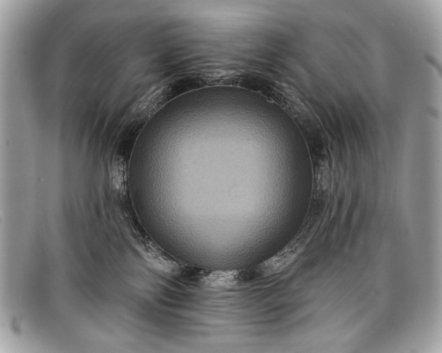 X0000098010138200804111242