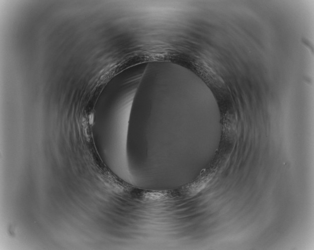 X0000098010139200804111242