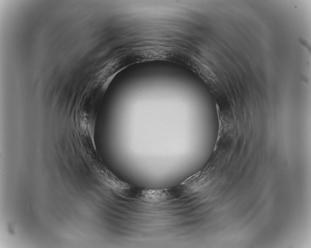 X0000098010141200804111242