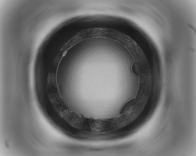 X0000098010142200804111242