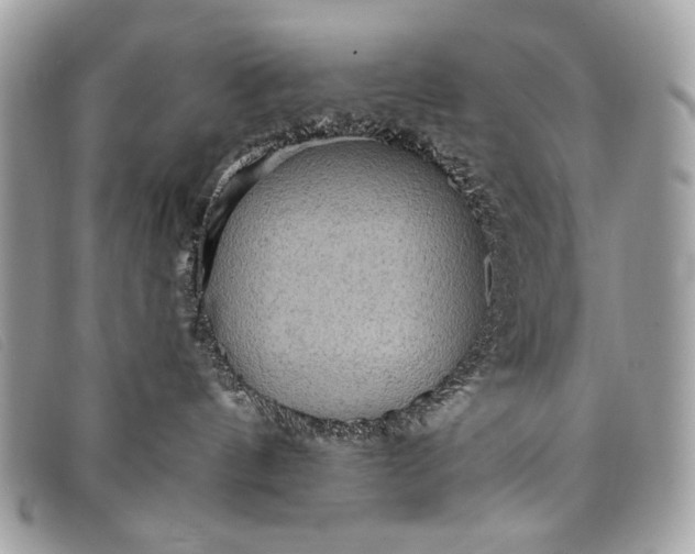 X0000098010144200804111242