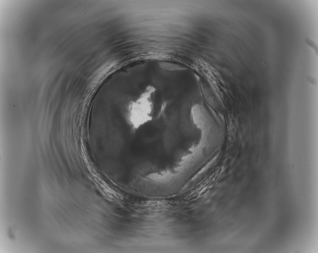 X0000098010145200804111241