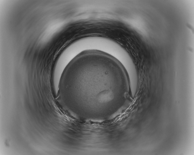 X0000098010146200804111241