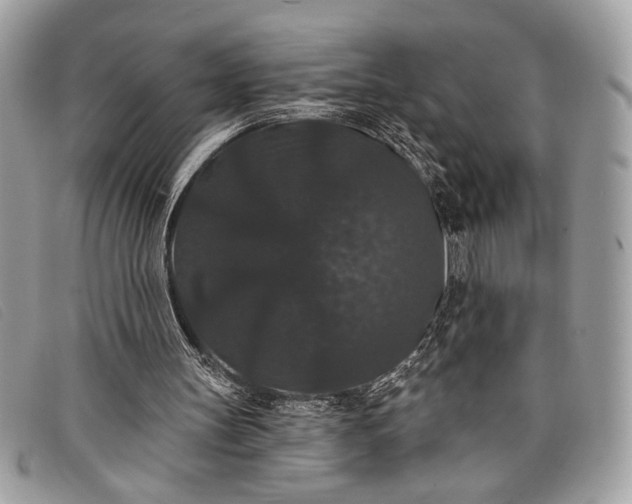 X0000098010147200804111241