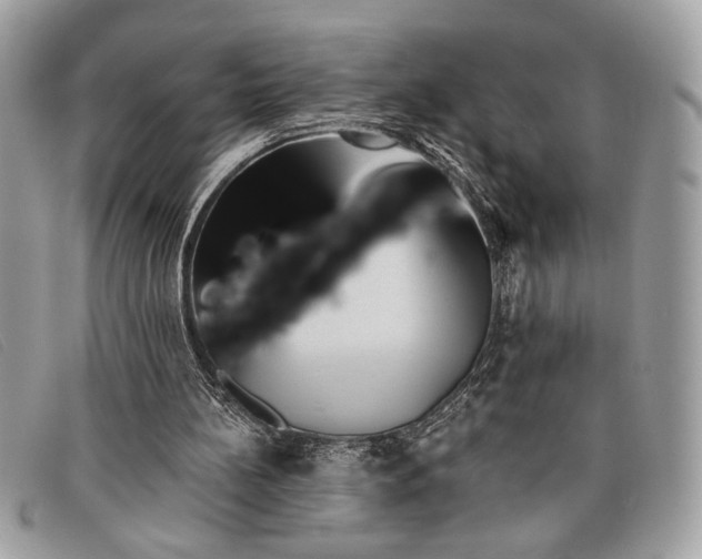 X0000098010148200804111241