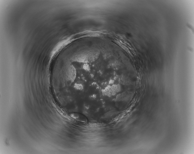 X0000098010149200804111241