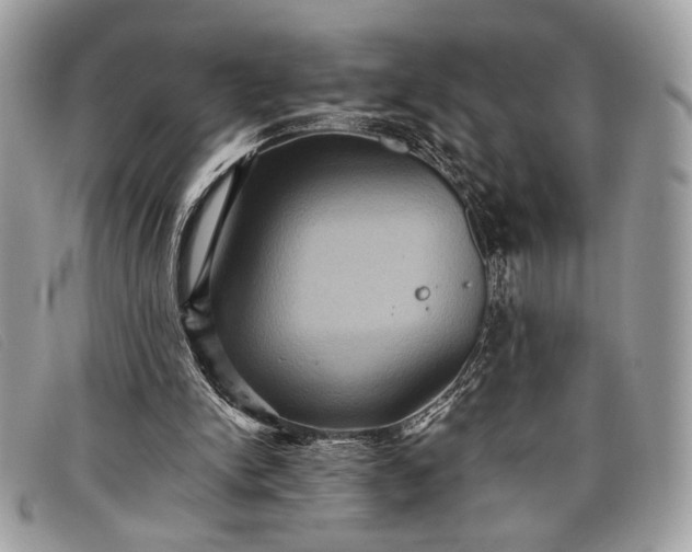 X0000098010150200804111241