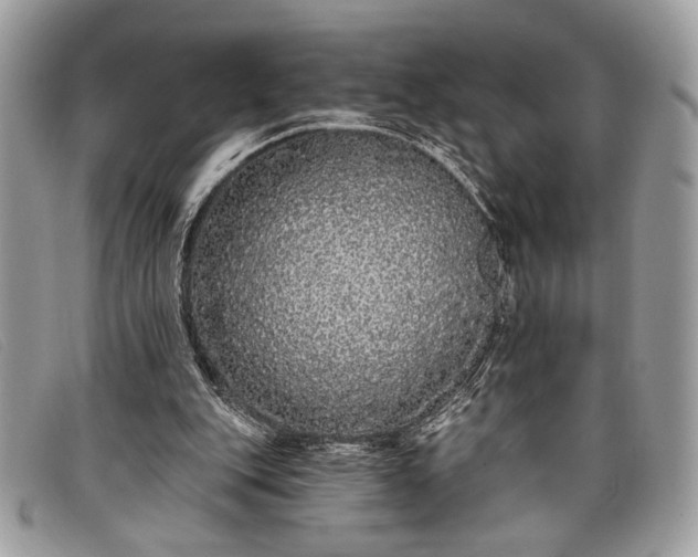 X0000098010151200804111241