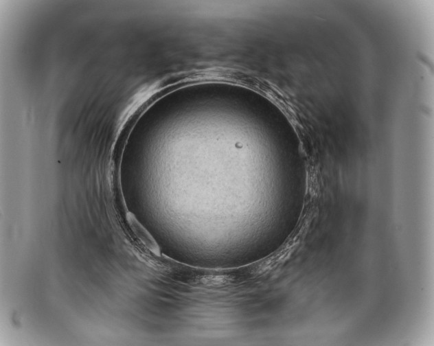 X0000098010152200804111241