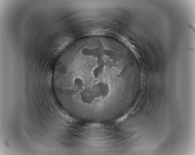 X0000098010153200804111241