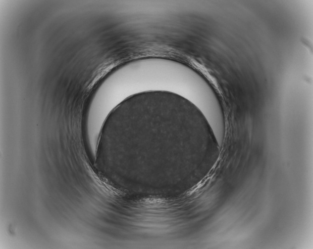 X0000098010154200804111241