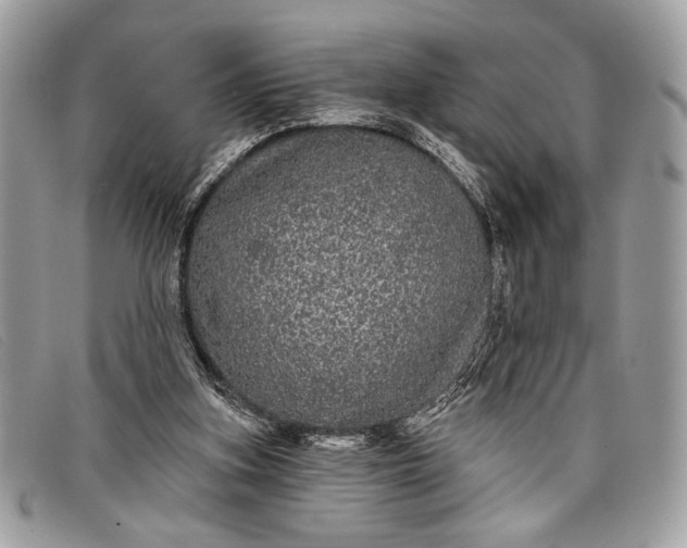 X0000098010155200804111241