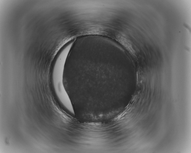 X0000098010156200804111241