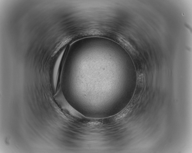 X0000098010158200804111241