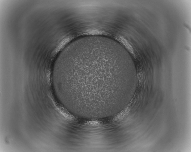 X0000098010159200804111241