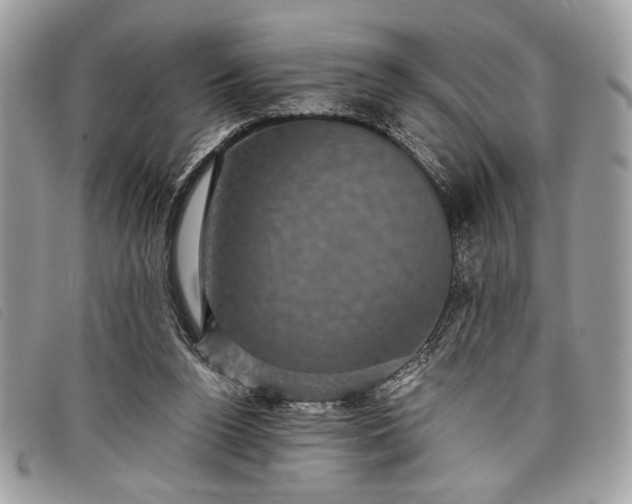 X0000098010160200804111241