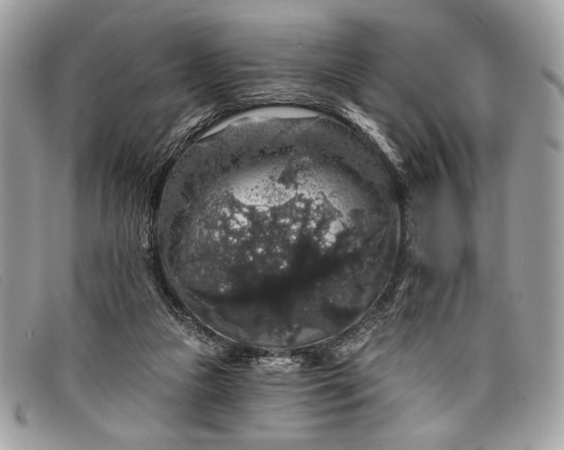 X0000098010161200804111241