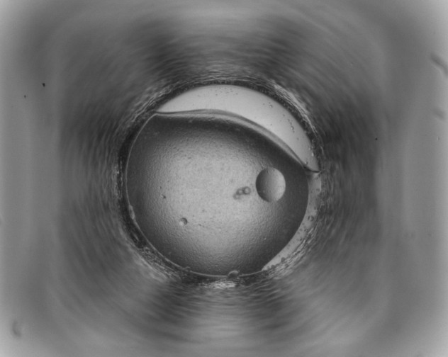 X0000098010162200804111241