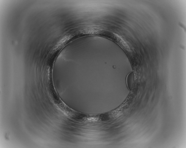 X0000098010163200804111241