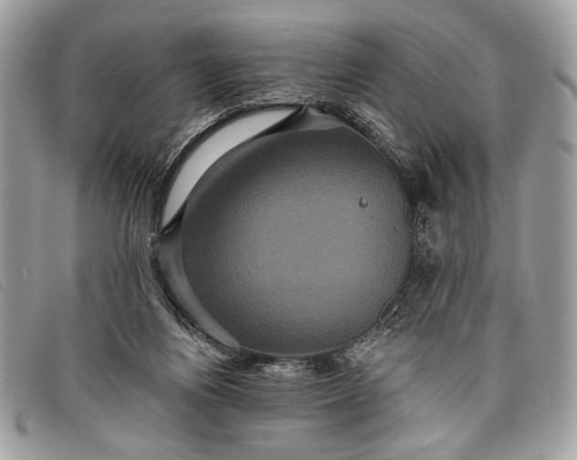 X0000098010164200804111241