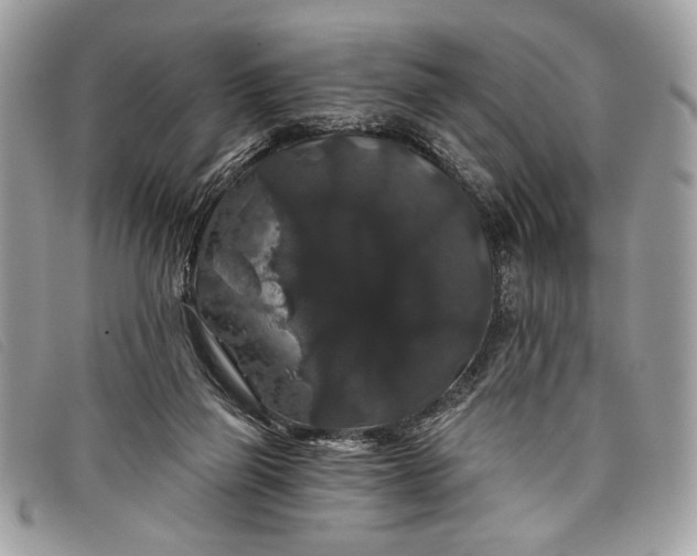 X0000098010165200804111241