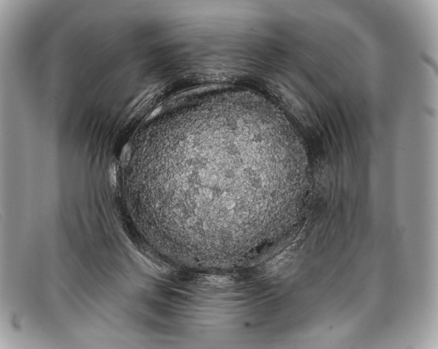 X0000098010166200804111241