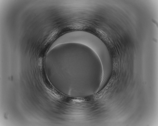 X0000098010167200804111241