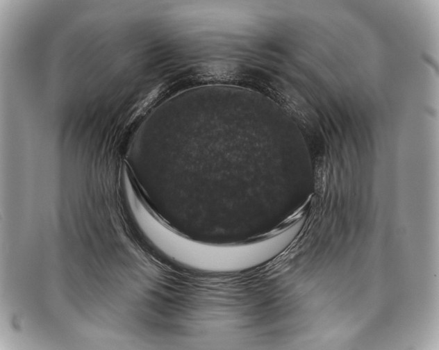 X0000098010168200804111241