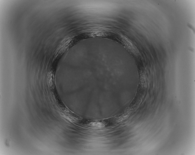 X0000098010169200804111241