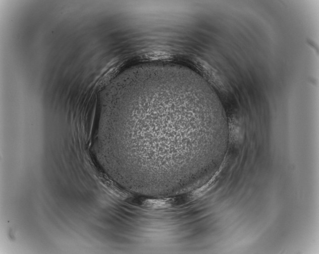 X0000098010170200804111241