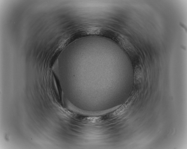 X0000098010172200804111241