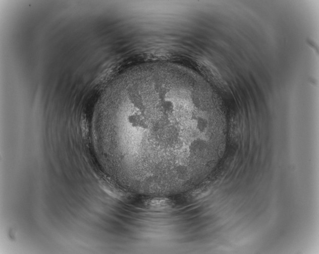 X0000098010173200804111241