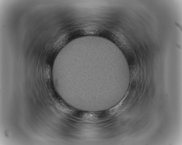 X0000098010174200804111241