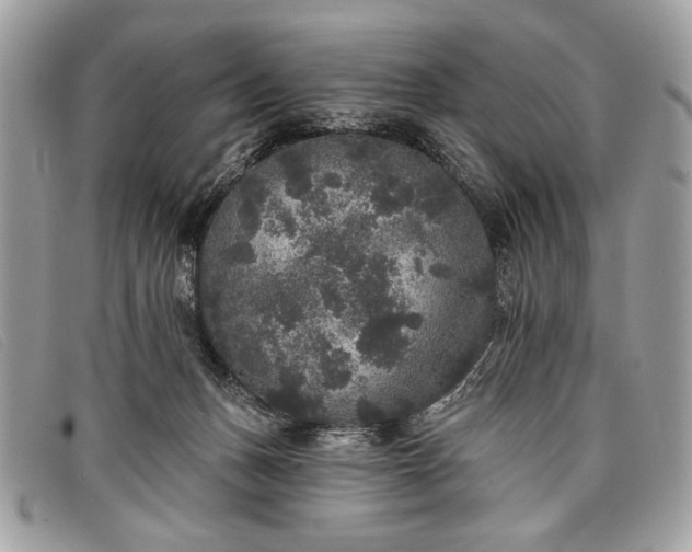 X0000098010175200804111241