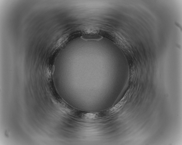 X0000098010176200804111241