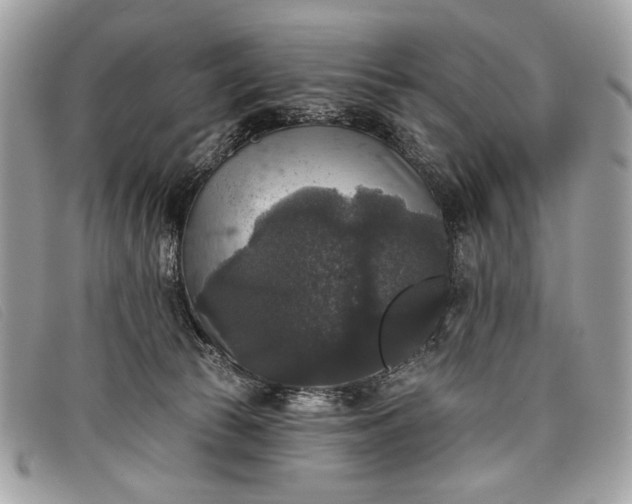 X0000098010177200804111241