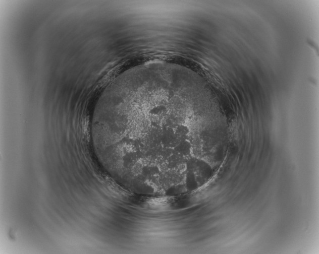 X0000098010178200804111241