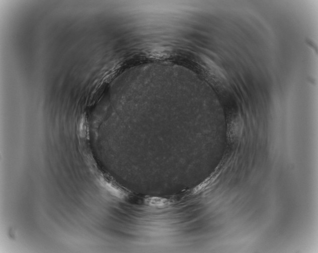 X0000098010180200804111241