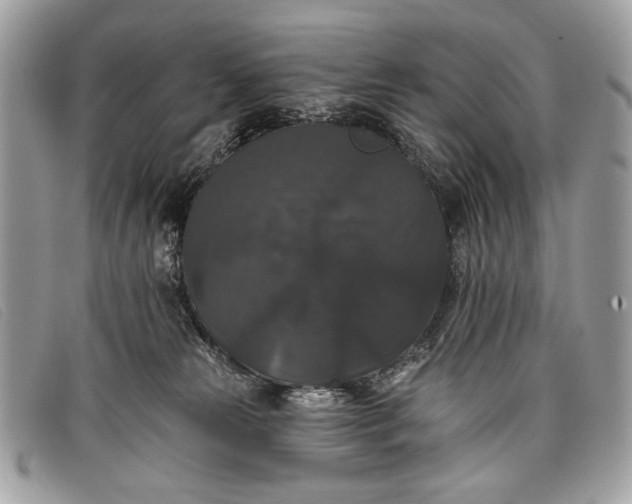 X0000098010181200804111241