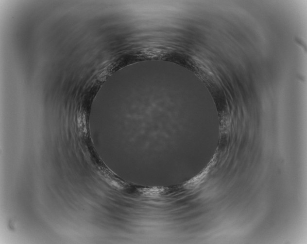 X0000098010182200804111241