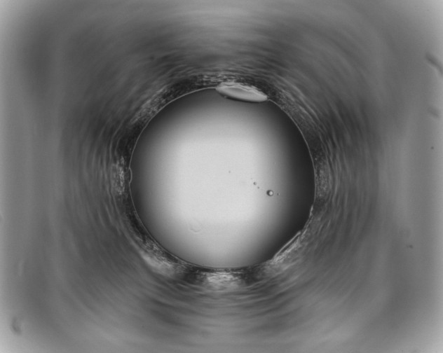 X0000098010183200804111241