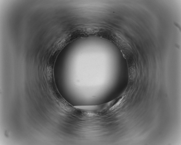 X0000098010184200804111241