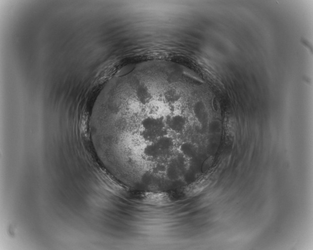 X0000098010185200804111242