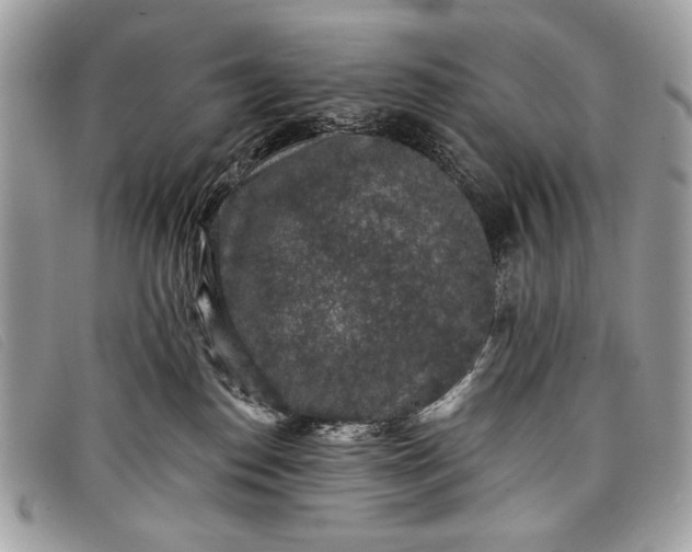 X0000098010186200804111242