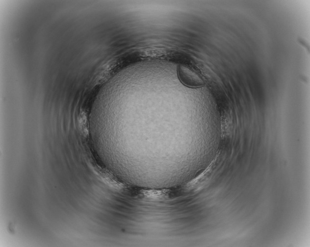 X0000098010187200804111242