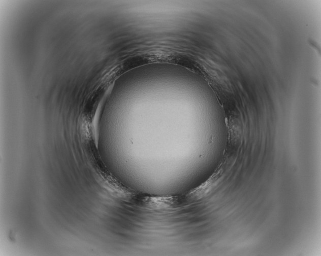 X0000098010188200804111242