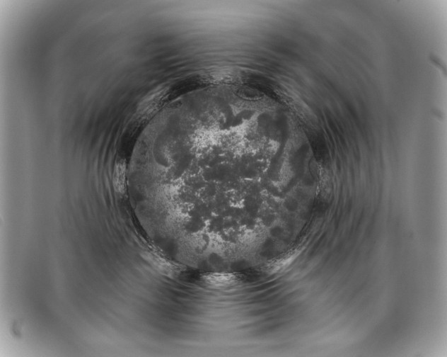 X0000098010189200804111242