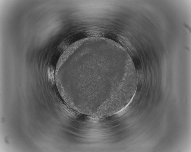 X0000098010190200804111242