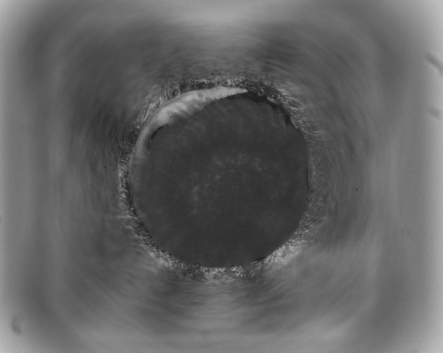 X0000098010192200804111242