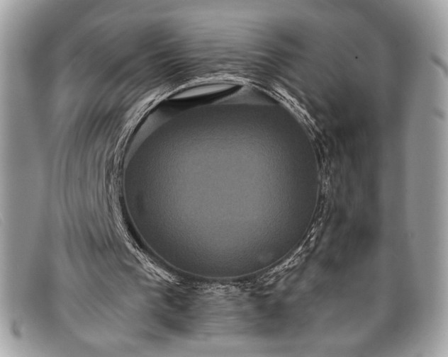 X0000098010193200804111241